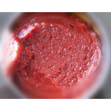 210g Canned Tomato Paste Choice Quality